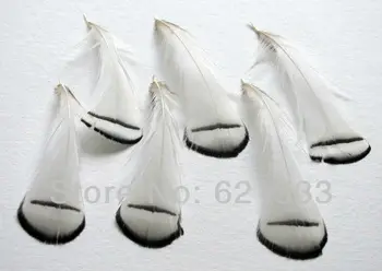 100Pcs/Lote 5-8cm longo Solta BLACK&WHITE Lady Amherst Faisão Tippet Penas,Senhora Amherst Plumagem Penas