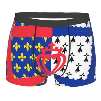 Bandeira não-oficial De Pays-de-la-Loire Homens de Cuecas Boxer Bandeiras das regiões da França Engraçado Novidade elástico calças para homens
