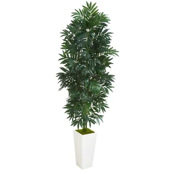 De bambu, palmeira artificial de plantas em branco plantação de bambu verde de folha de palmeira, verde