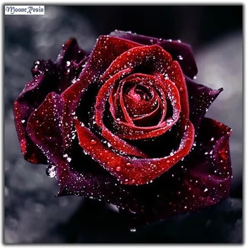 MOONCRESIN 5D Diy Diamante Pintura, Ponto Cruz Rosa Vermelha 3D de Bordado de Diamante Agulha de Diamante Mosaico Completo de Decoração de Flores