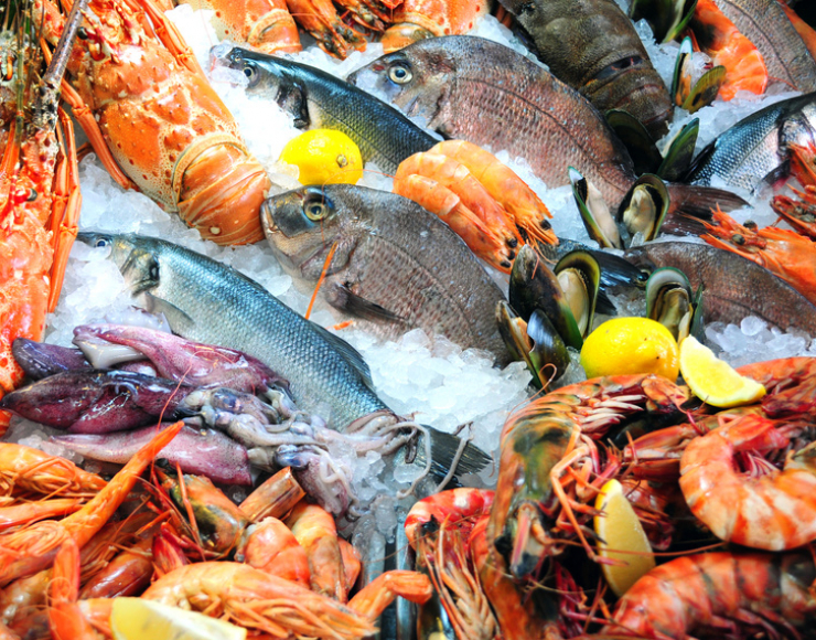 Caetana Maria Sobral da Conceição Santos