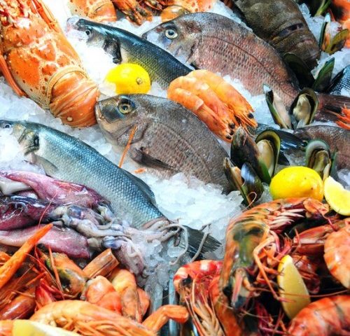 img_peixes-e-frutos-do-mar